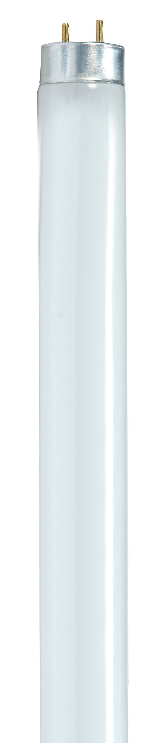 24-Inch 6500K 17-Watt T8 Daylight Lamp D673