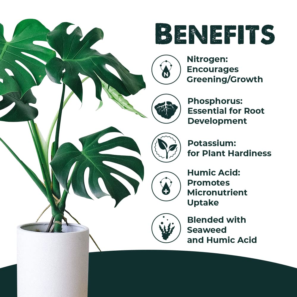 All Purpose Liquid Plant Food 32 Ounce O902