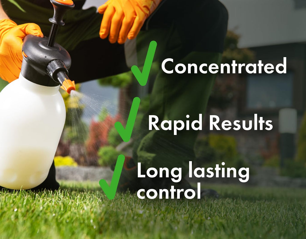 Concentrated Broad Spectrum Lawn Weed Killer X101