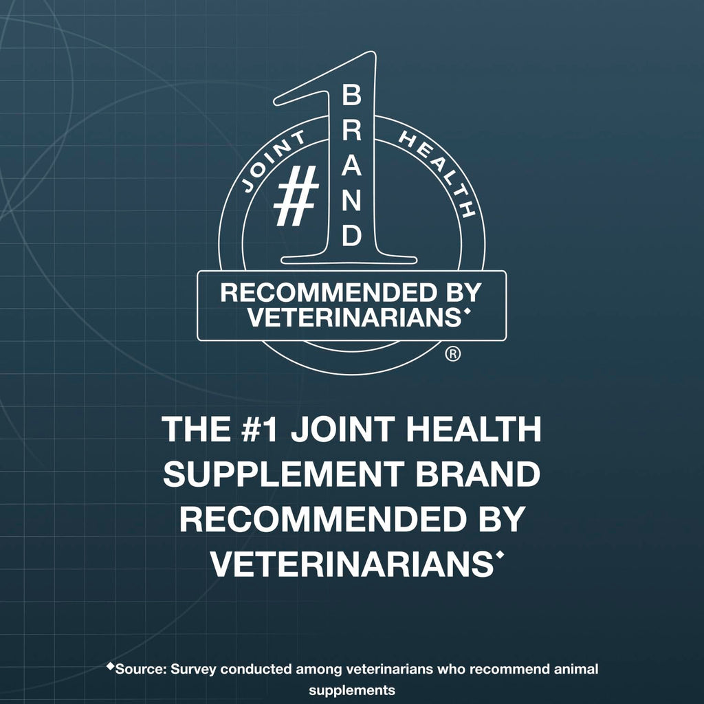 Soft Chews Joint Health Supplement for Large Dogs Q16618