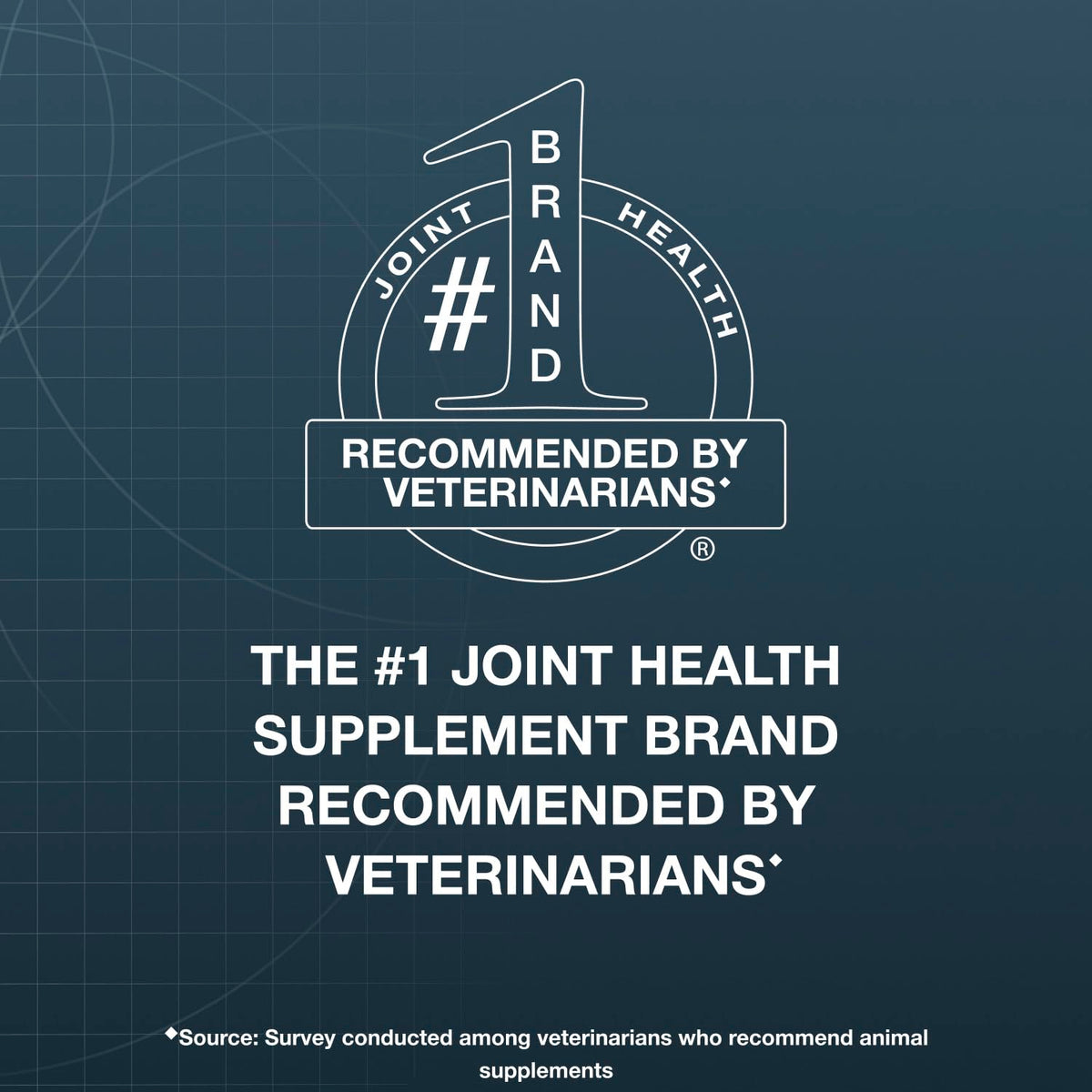 Soft Chews Joint Health Supplement for Large Dogs Q16618