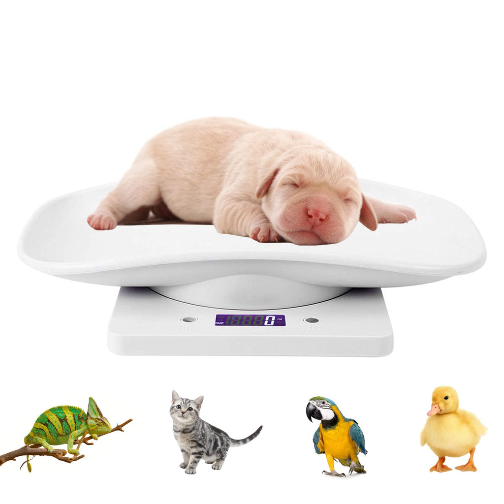 Digital Pet Scale with Tray A820