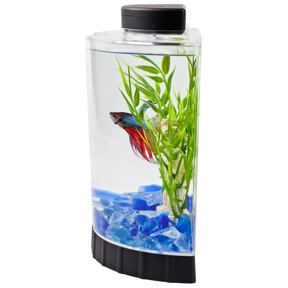 1.1 Gallon Fish Tank Kit B36683