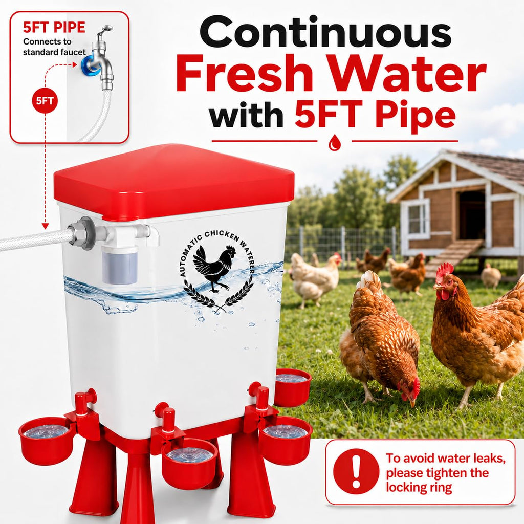3 Gallon Chicken Waterer with 10 Cups L981