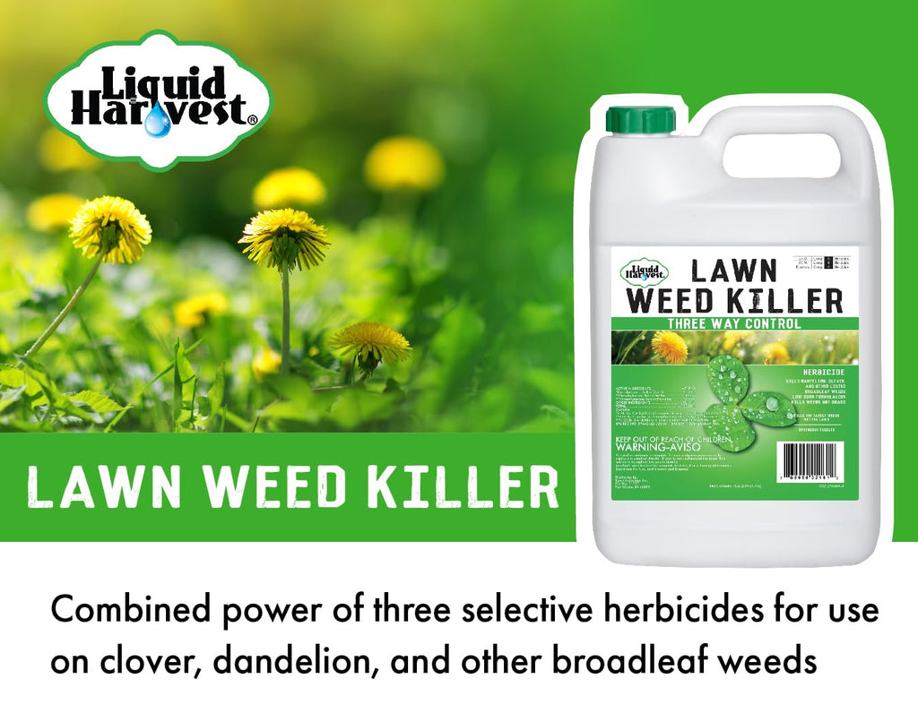 Concentrated Broad Spectrum Lawn Weed Killer X101