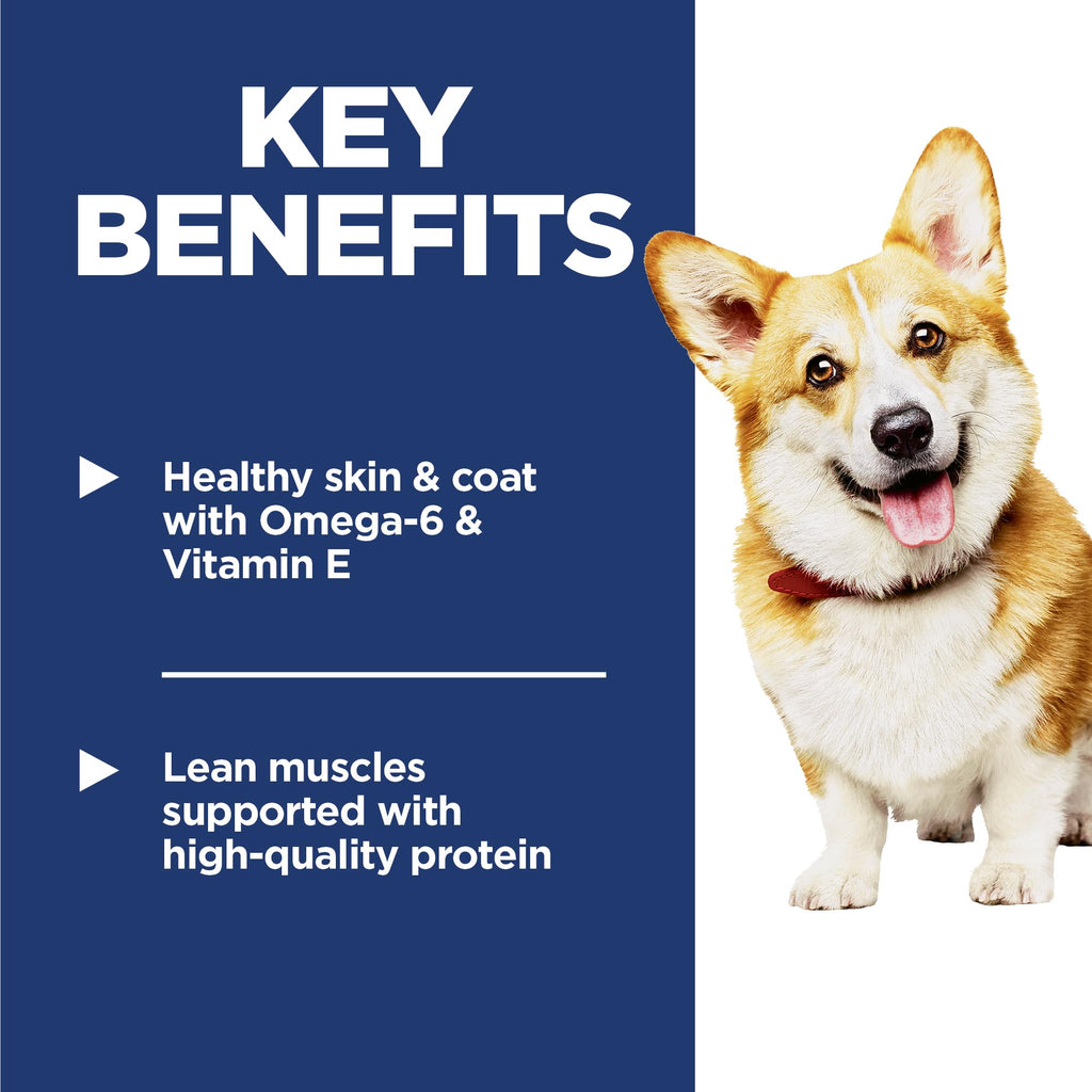 Dry Dog Food B6227