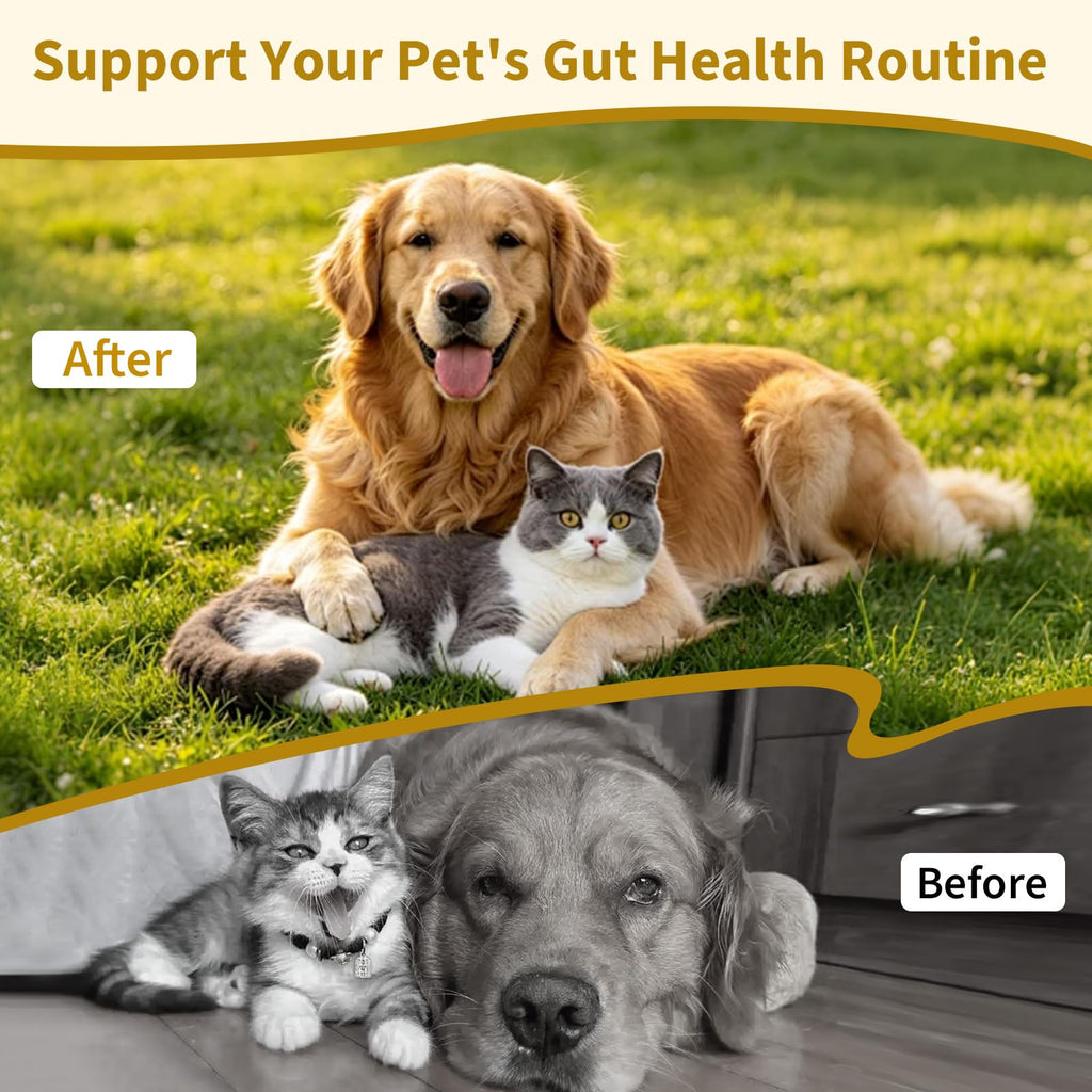 Dewormer for Cats & Dogs B543492