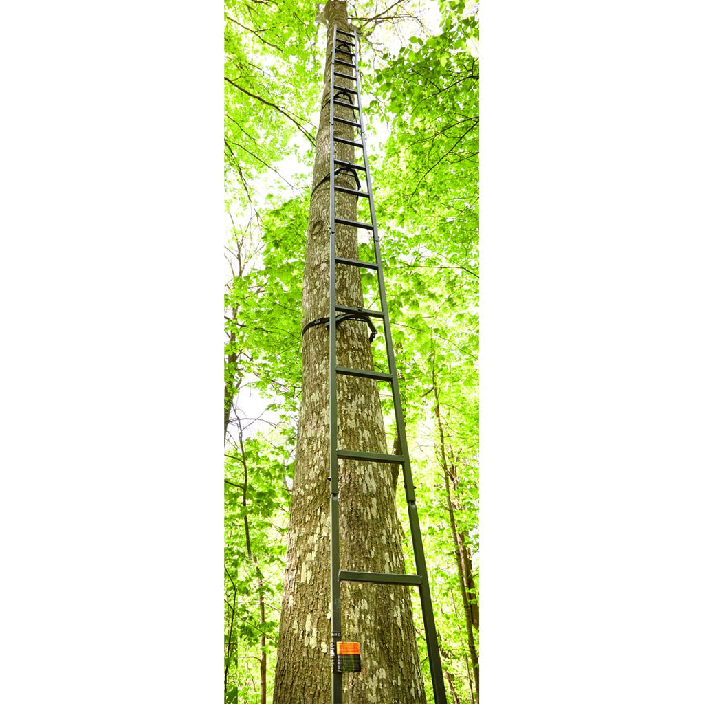 Climbing Ladder J3585