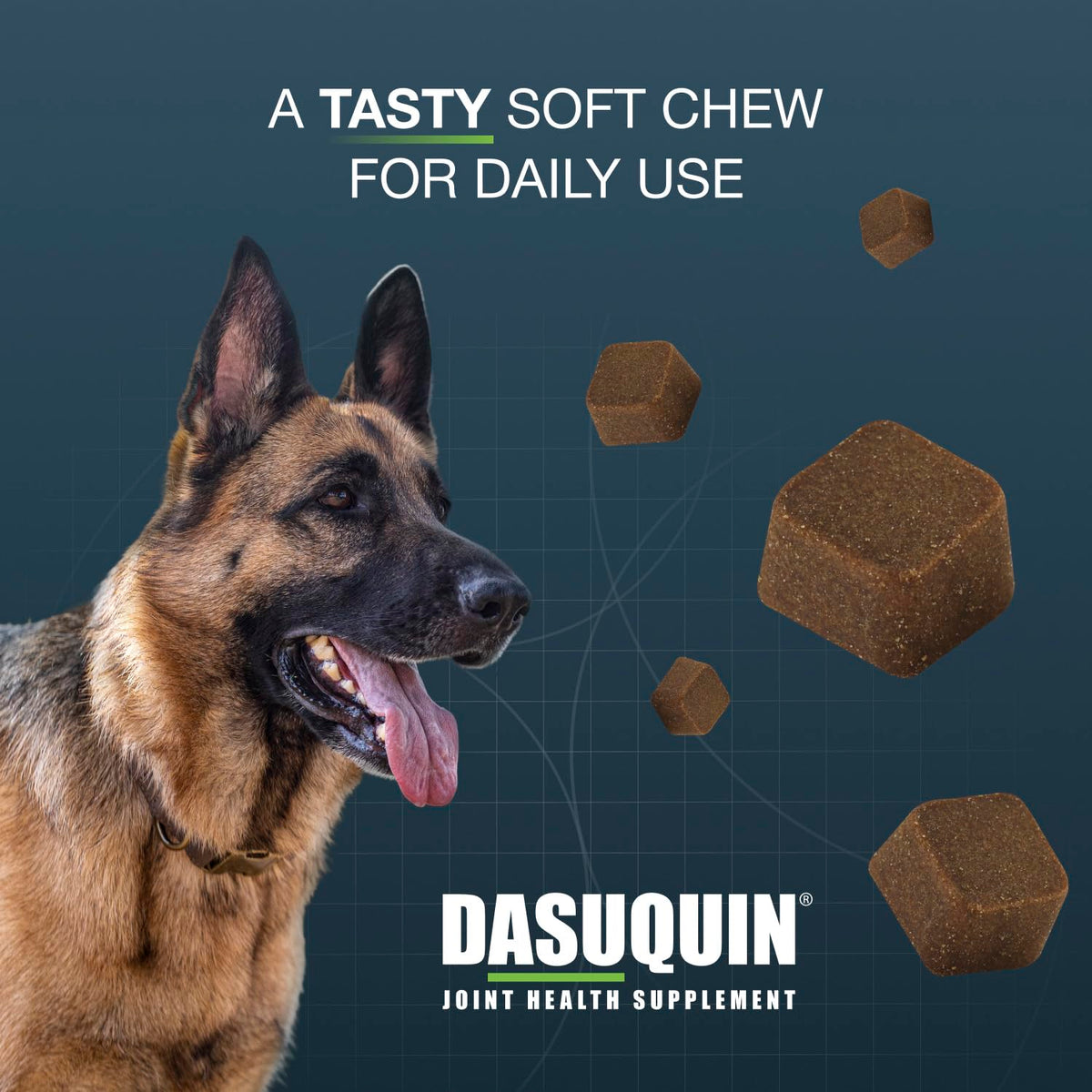 Soft Chews Joint Health Supplement for Large Dogs Q16618