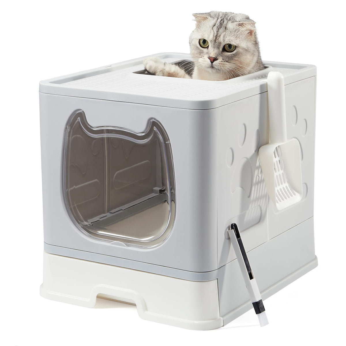 Covered Litter Box with Lid and Scooper P872673