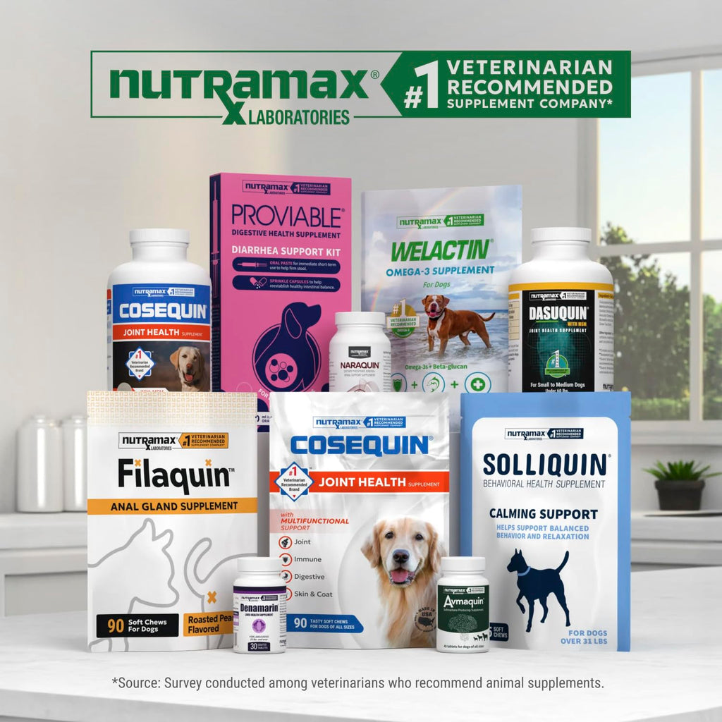 Soft Chews Joint Health Supplement for Large Dogs Q16618
