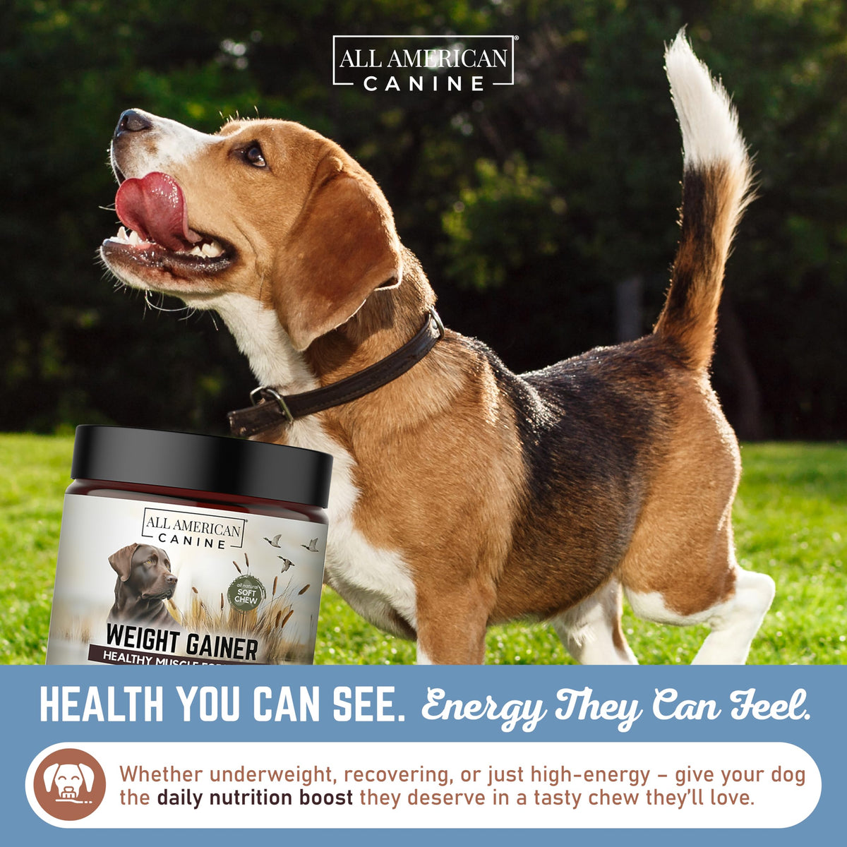 High Calorie Dog Weight Gainer Chews W573