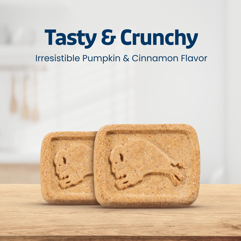 Pumpkin & Cinnamon Dog Biscuits, 16 oz Y2400