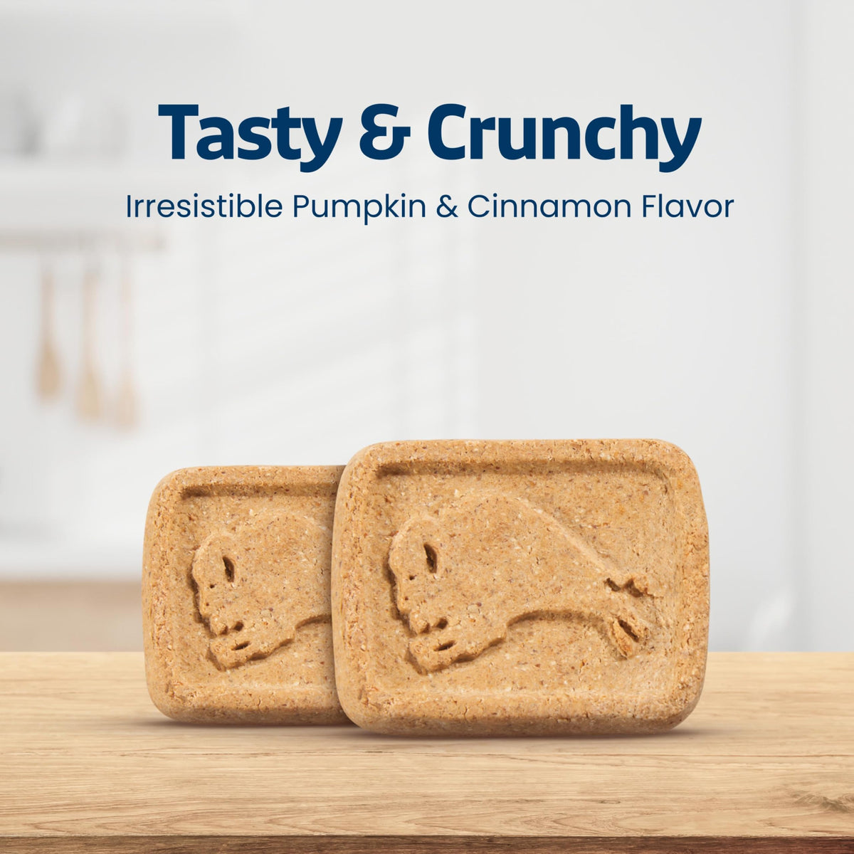 Pumpkin & Cinnamon Dog Biscuits, 16 oz Y2400