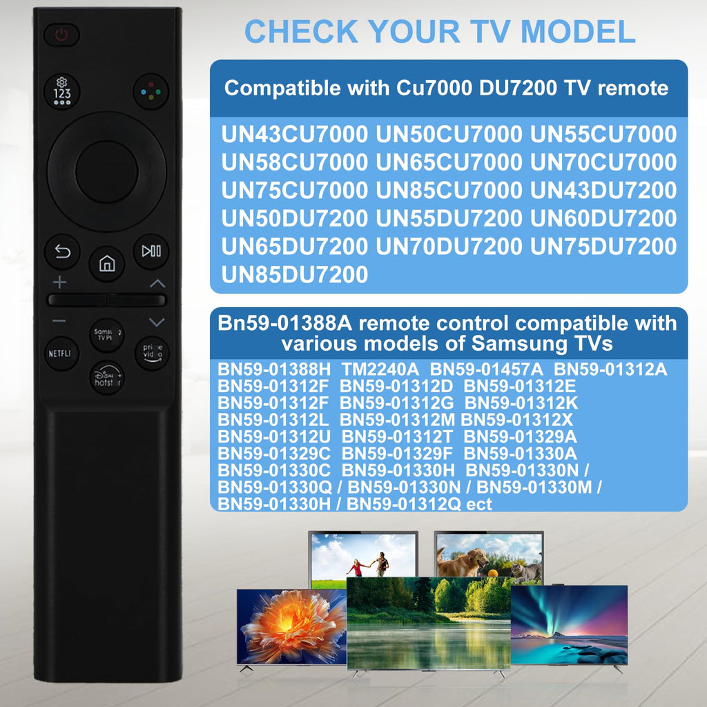 Remote for TV T82521