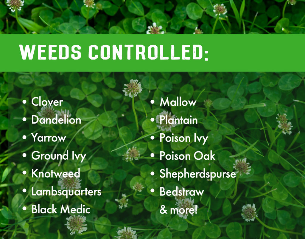 Concentrated Broad Spectrum Lawn Weed Killer X101