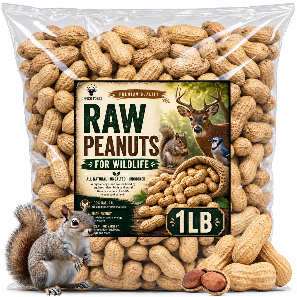 Roasted Unsalted Peanuts in Shell 1 lb Bag B148