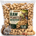 Roasted Unsalted Peanuts in Shell 1 lb Bag B148