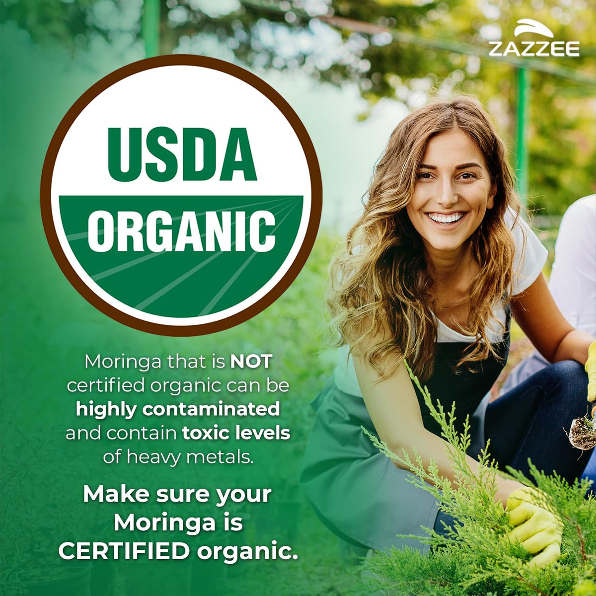 USDA Organic Moringa Leaf 20:1 Extract 120 Vegan Capsules R640