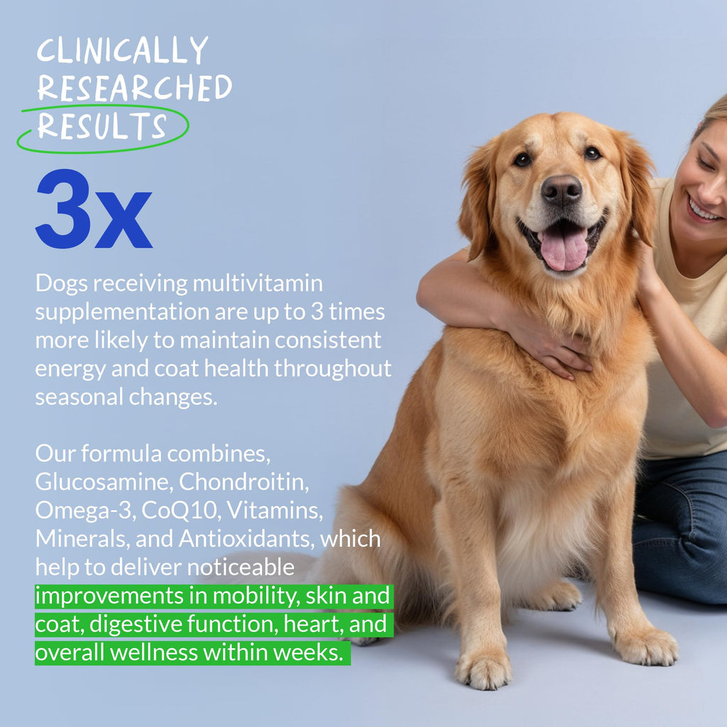 Multivitamin for Dogs 120 Tablets X8332