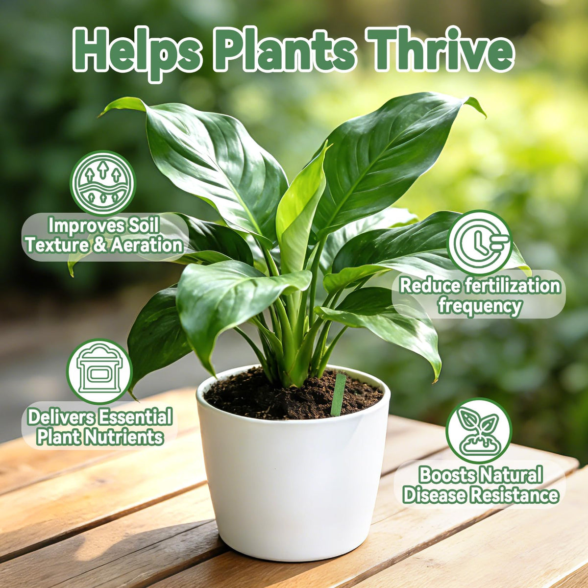 Plant Fertilizer Sticks L559311