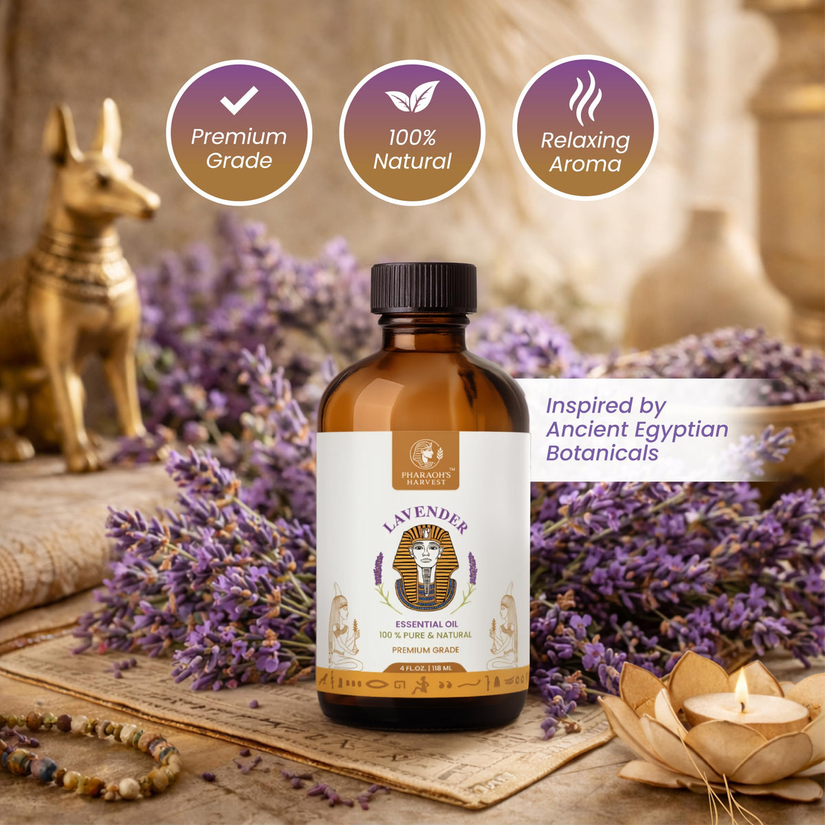 Lavender Essential Oil 4 Fl Oz S609648