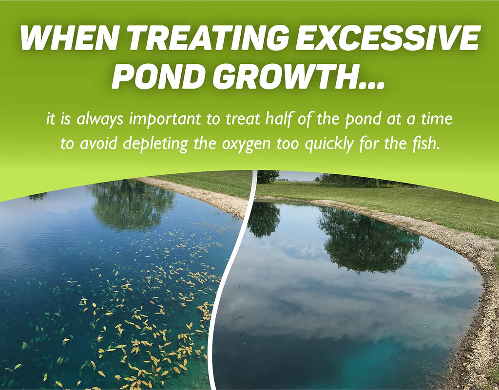 Concentrated Aquatic Herbicide for Lakes and Ponds B86198