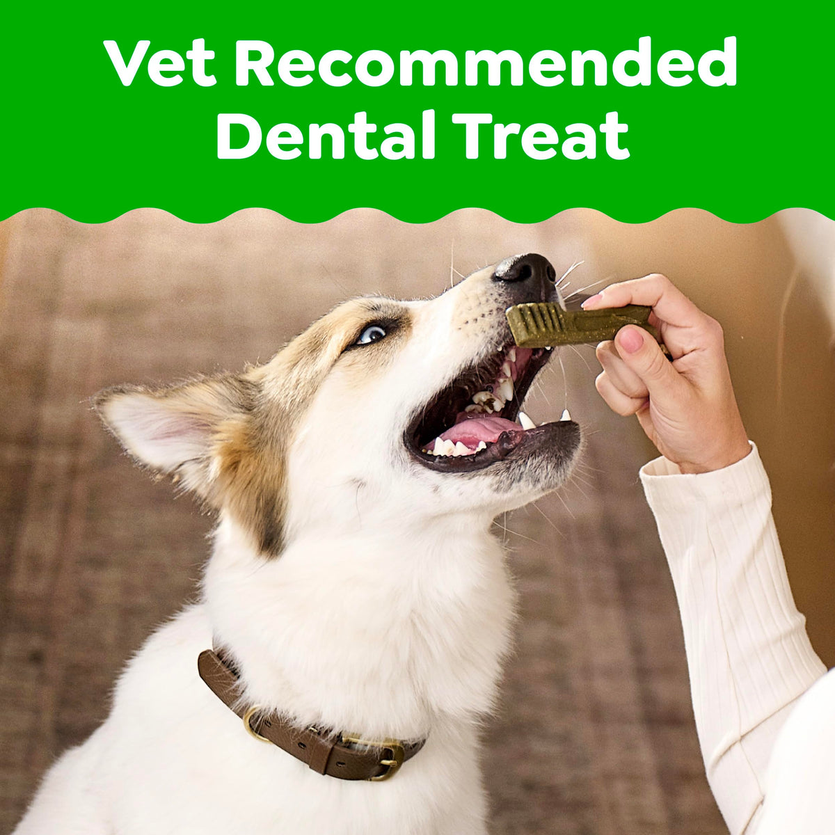 Mint Original Blueberry Dental Dog Treats 60 Count Q7444