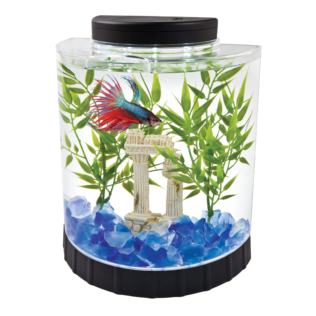 1.1 Gallon Fish Tank Kit B36683