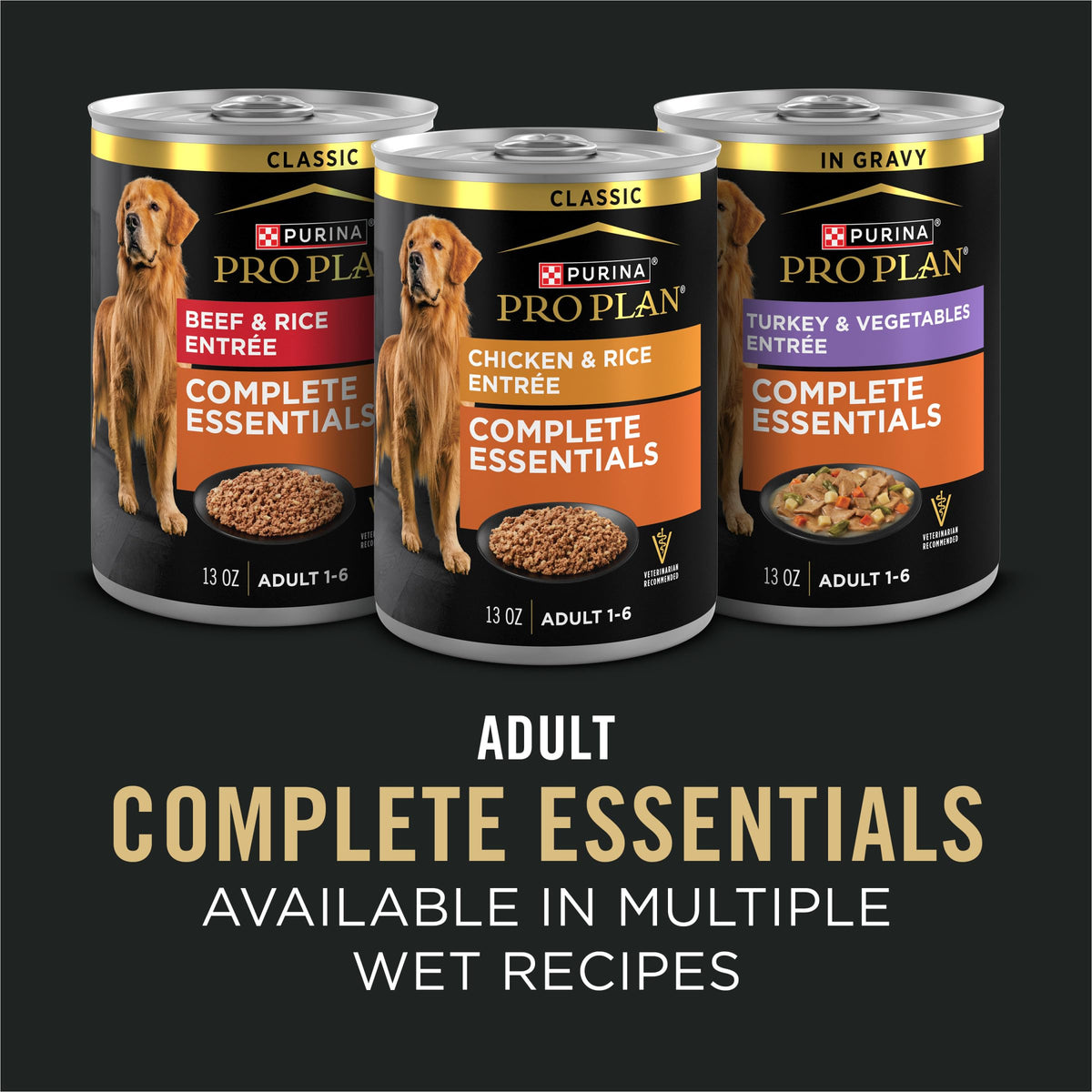 Salmon & Rice Dry Dog Food 33 lb Bag H48006