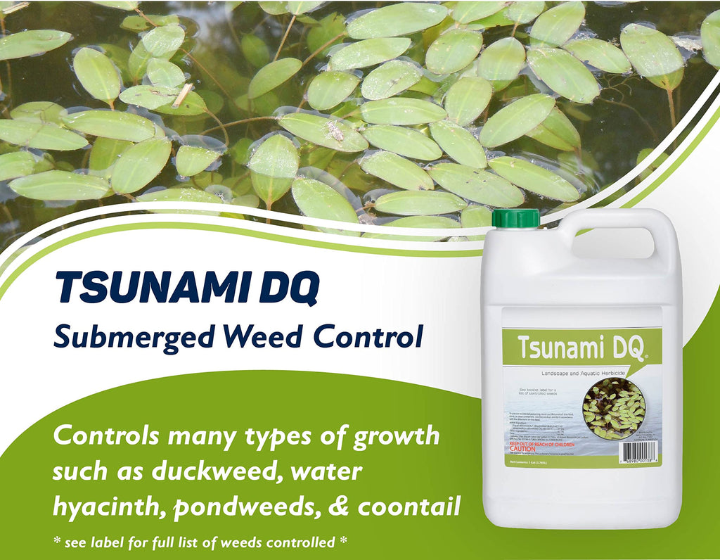 Concentrated Aquatic Herbicide for Lakes and Ponds B86198