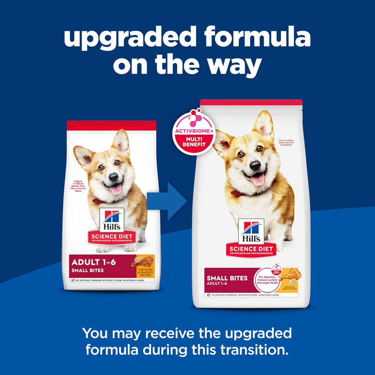 Dry Dog Food B6227