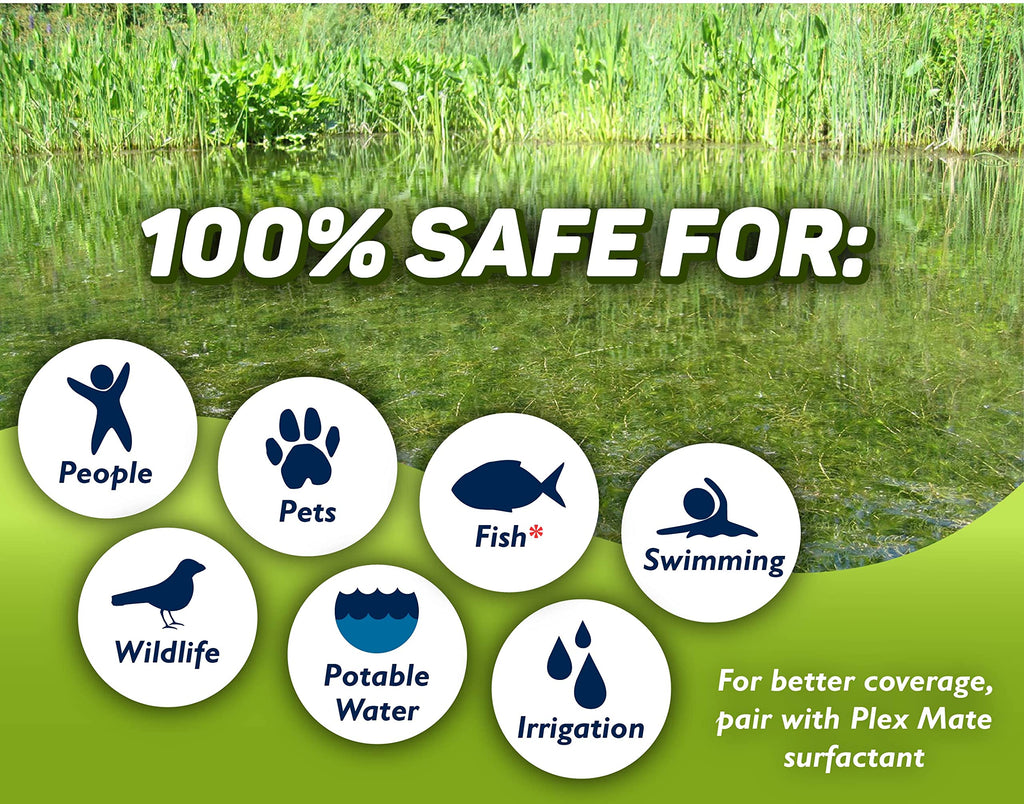 Concentrated Aquatic Herbicide for Lakes and Ponds B86198
